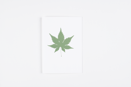 "Acer Leaf" Greetings Card