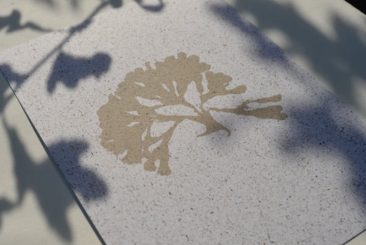 Seaweed on Seaweed i