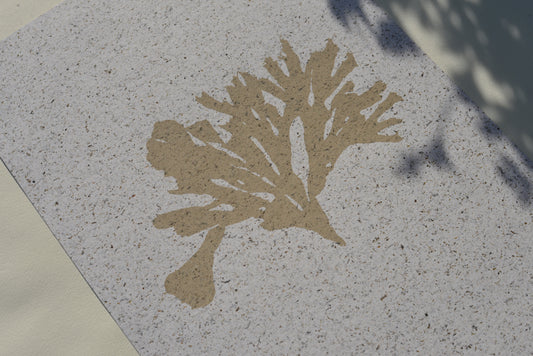 Seaweed on Seaweed iii