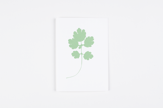 "Greater Celandine Leaf" Greetings Card