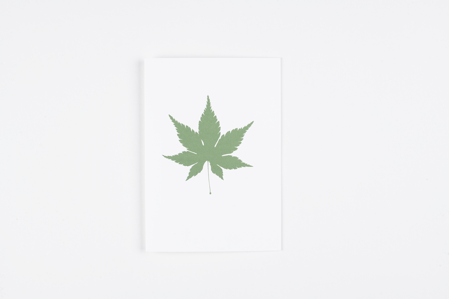 "Acer Leaf" Greetings Card