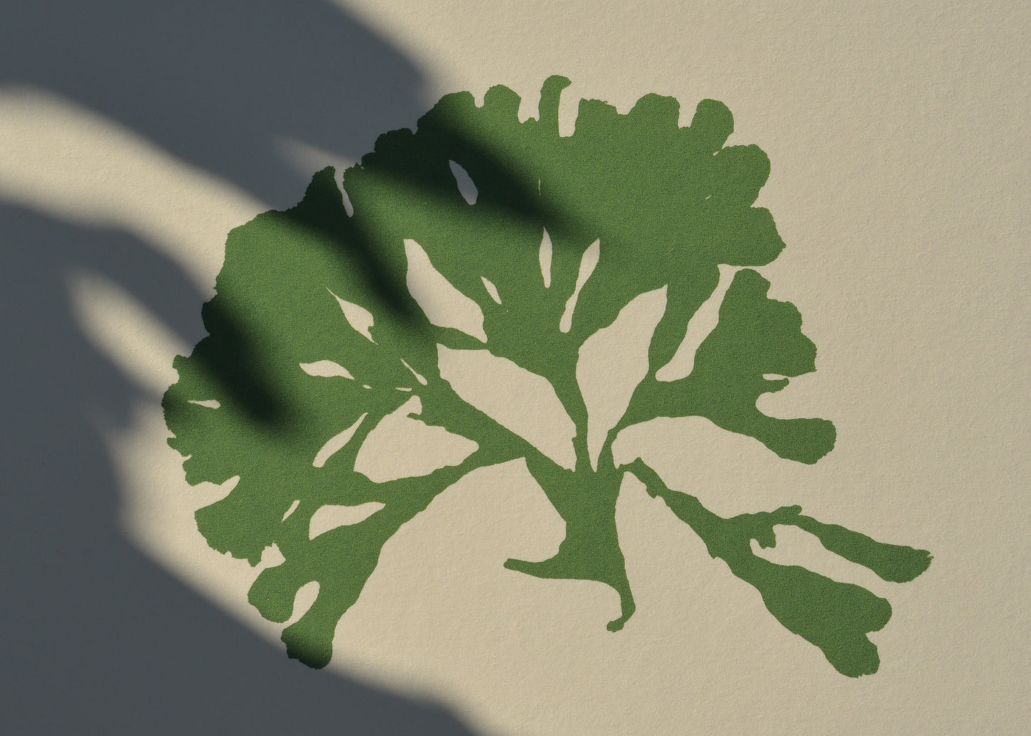 Seaweed i