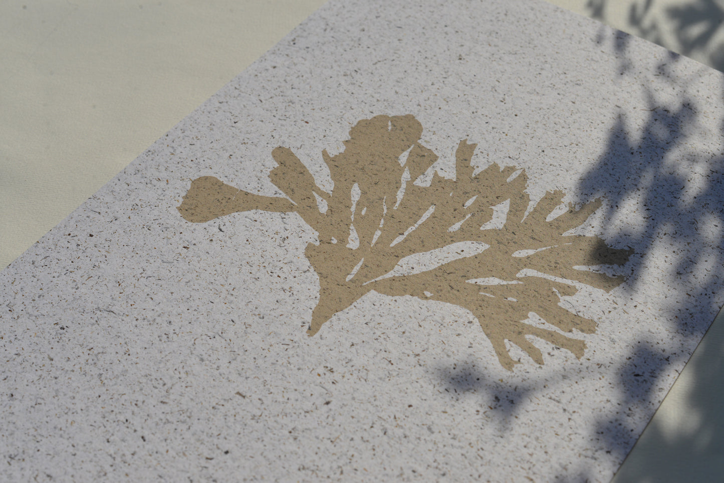 Seaweed on Seaweed iii