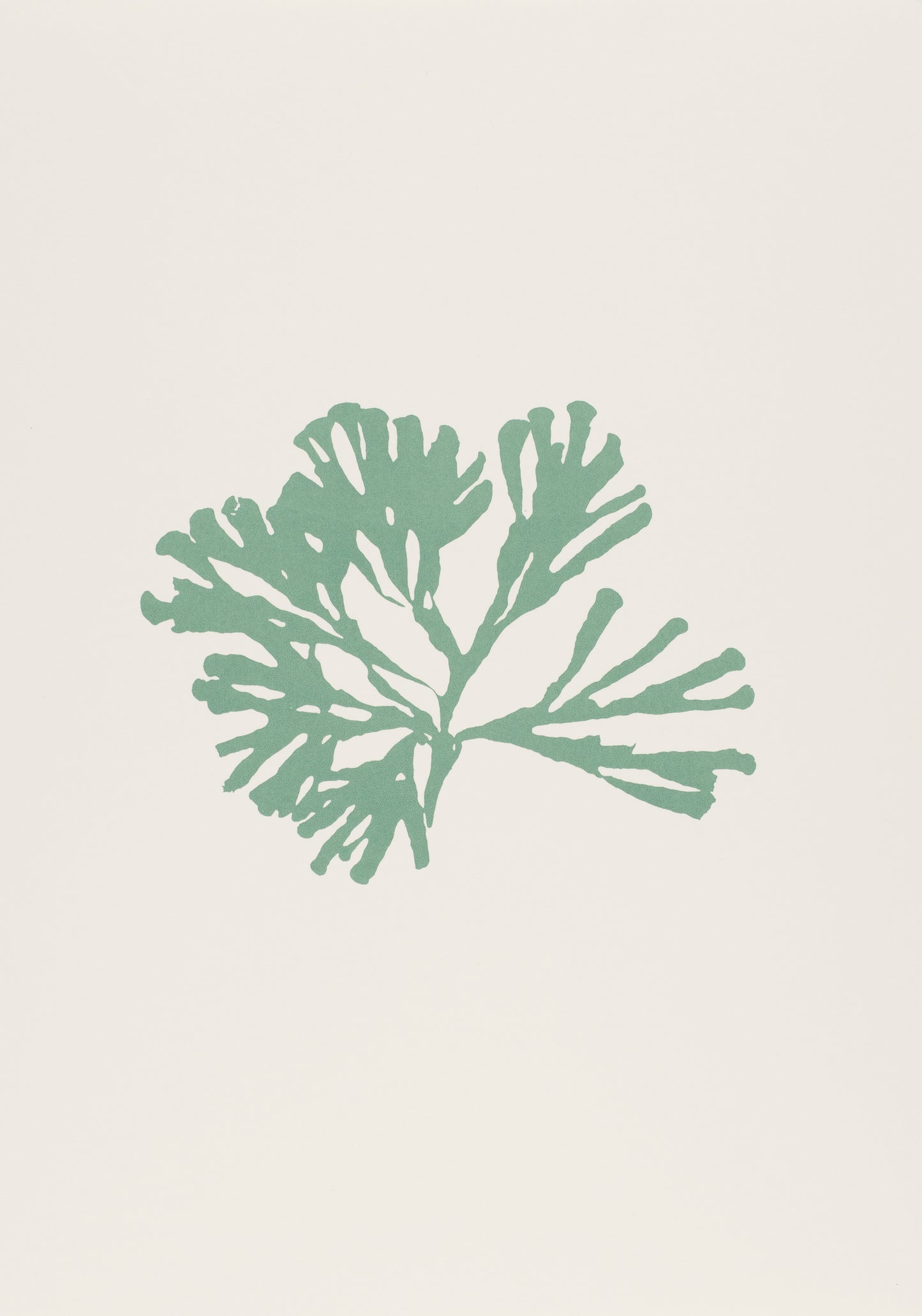 Seaweed iii (A3)