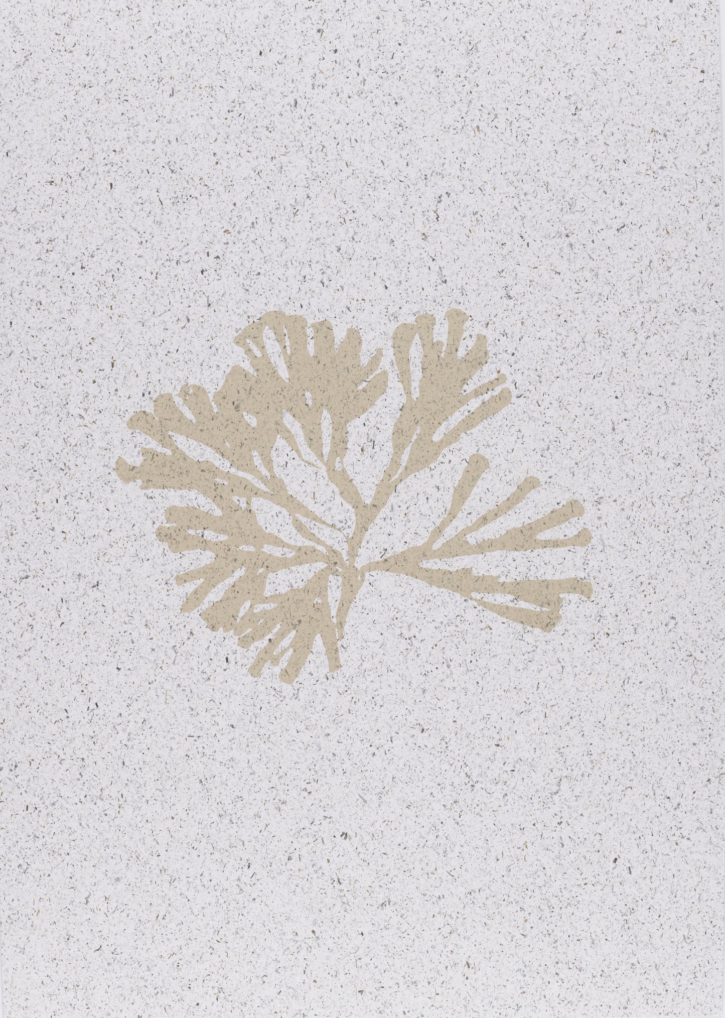 Seaweed on Seaweed ii (A3)