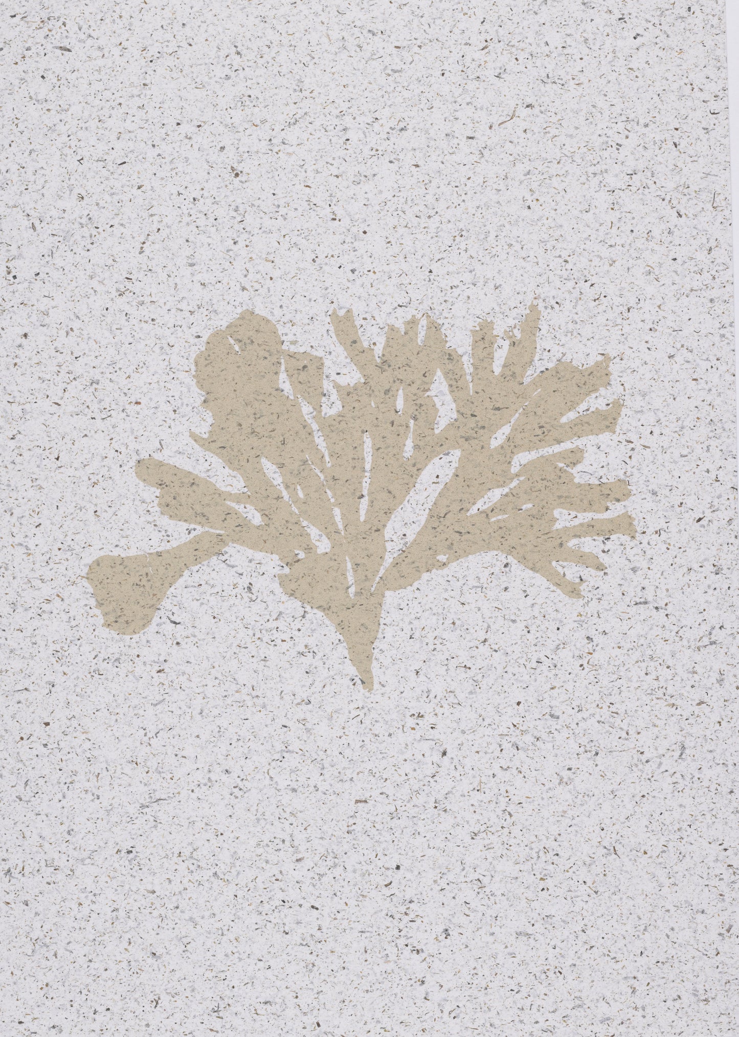 Seaweed on Seaweed iii