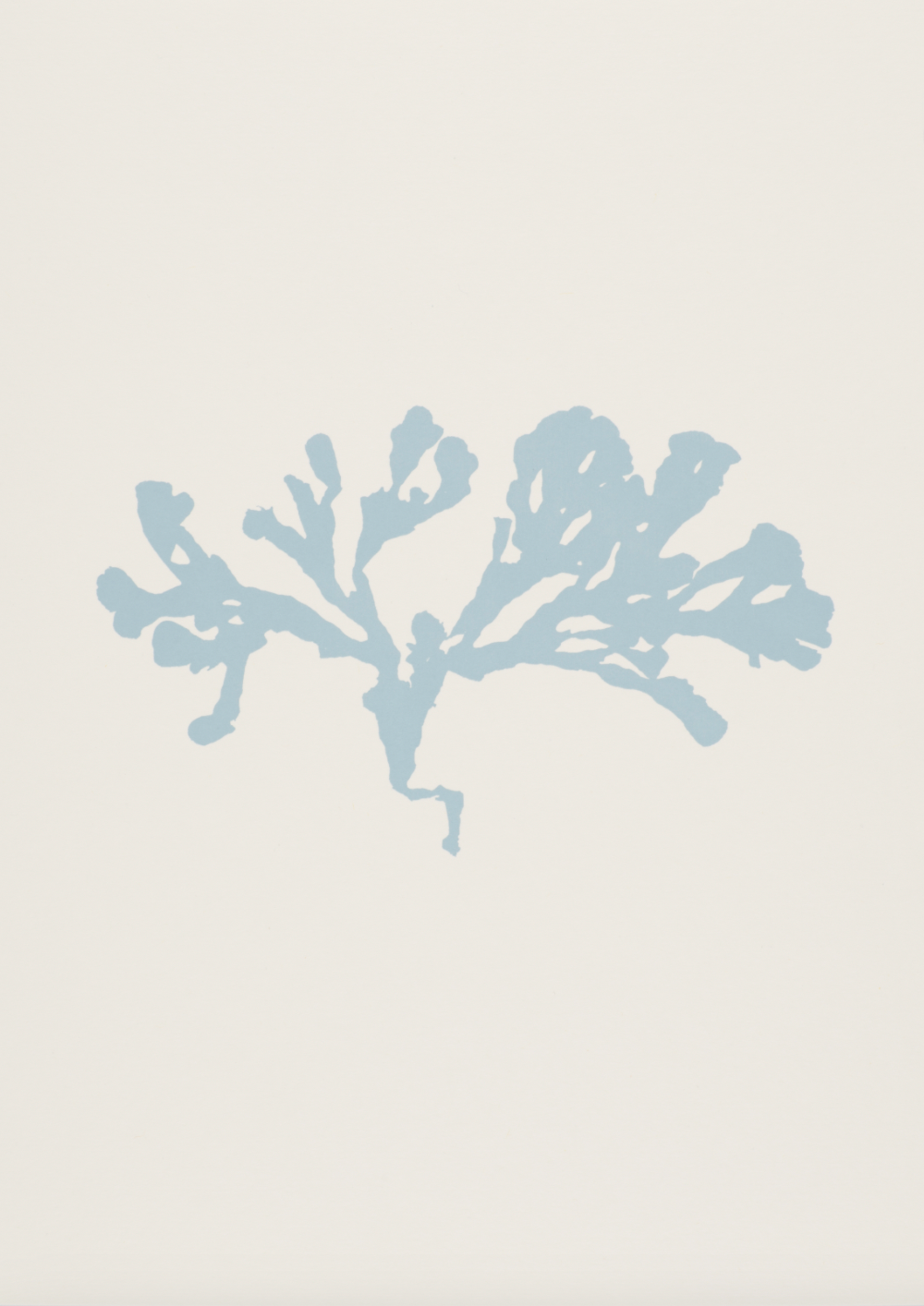 Seaweed ii