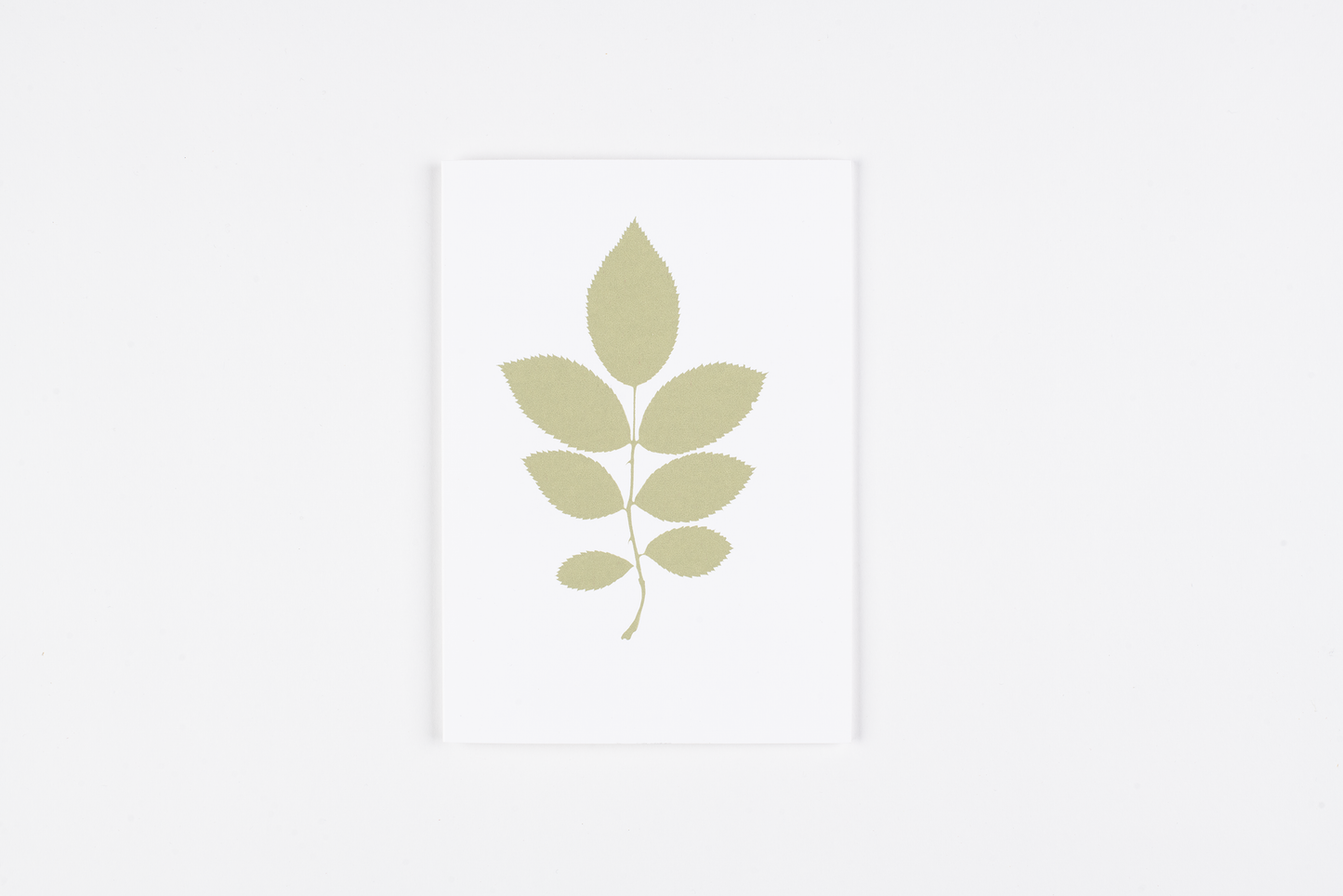 "Rose Leaf" Greetings Card