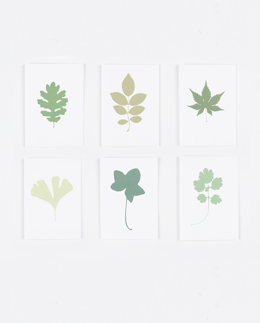 The Botanical Leaf Collection - Six Screenprinted Greetings Cards
